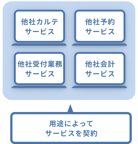 従来のカルテ