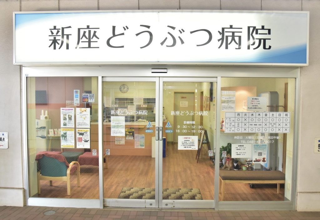 新座動物病院